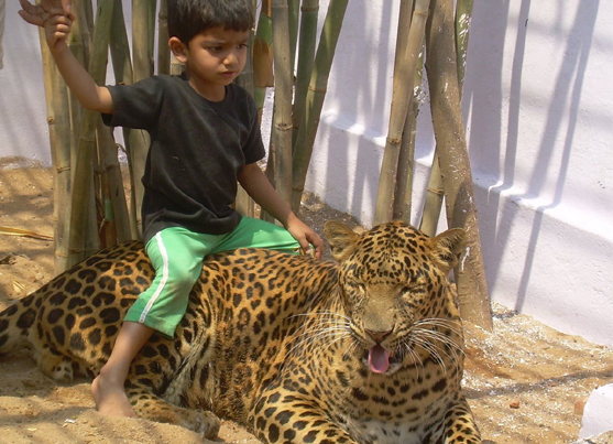 Hemalkasa & Anandwan from nagpur