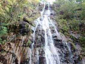 pachmarhi honeymoon packages